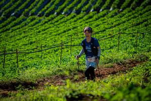 BIB: 166
                            <button type="button" onclick="openModal(19161130)" class="btn btn-primary btn-sm float-right btn-popup" data-toggle="modal" data-target=".modal-high-quality">
                        <i class="fas fa-shopping-cart"></i> Add to Cart
                    </button>
                                            <button type="button" onclick="isThisMe(19161130, true)" class="btn btn-success btn-sm float-right btn-popup btn-isme hidden" data-toggle="tooltip" data-placement="bottom" title="นี่คือรูปของคุณใช่ไหม คลิกที่นี่เพื่อเอาเข้าอัลบั้ม">
                        <i class="fas fa-plus"></i> Add to album
                    </button>
                    <button type="button" onclick="isThisMe(19161130, false)" class="btn btn-warning btn-sm float-right btn-popup btn-isnotme hidden">
                        <i class="fas fa-ban"></i> Remove from album
                    </button>